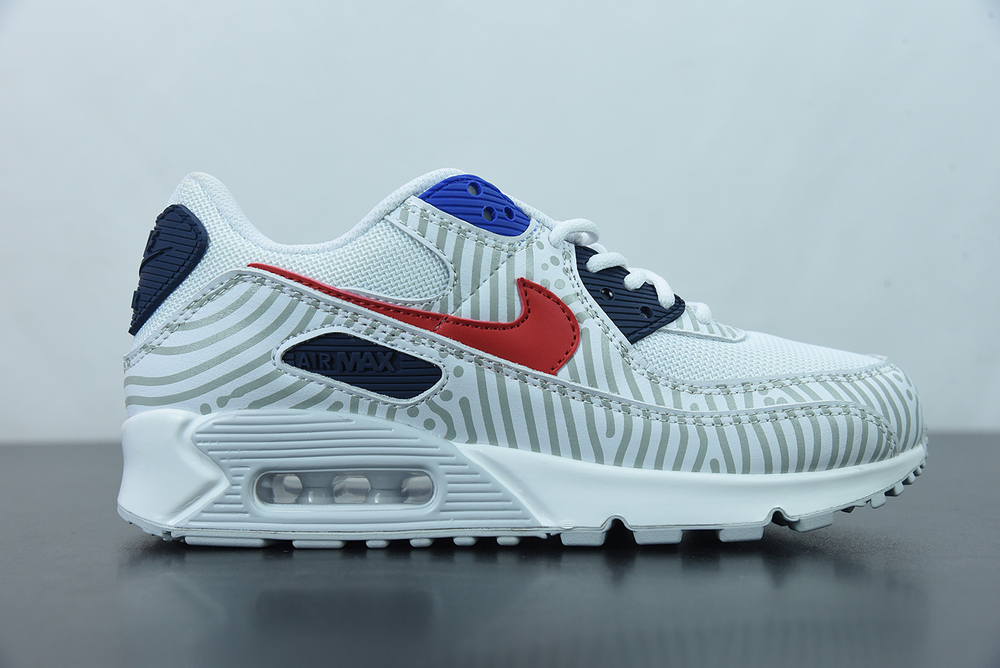 Nike Air Max 90 Euro Tour (2020)